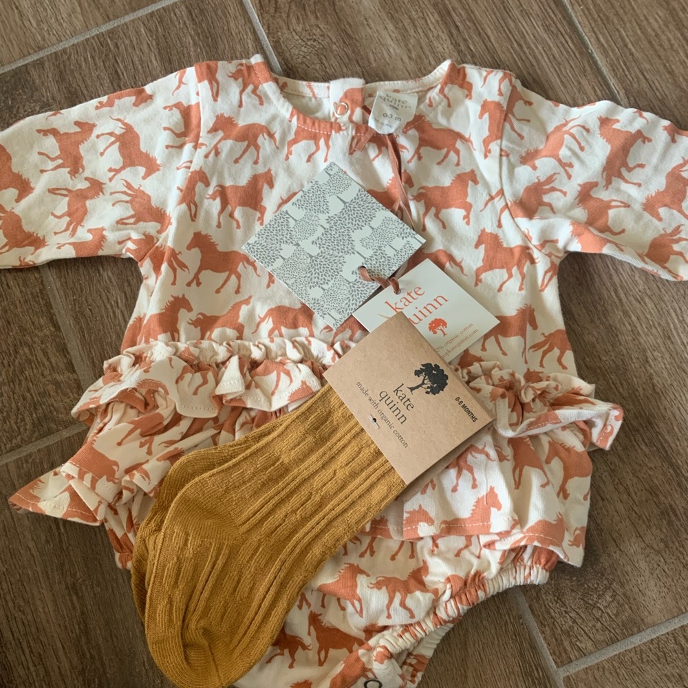 Kate Quinn set
